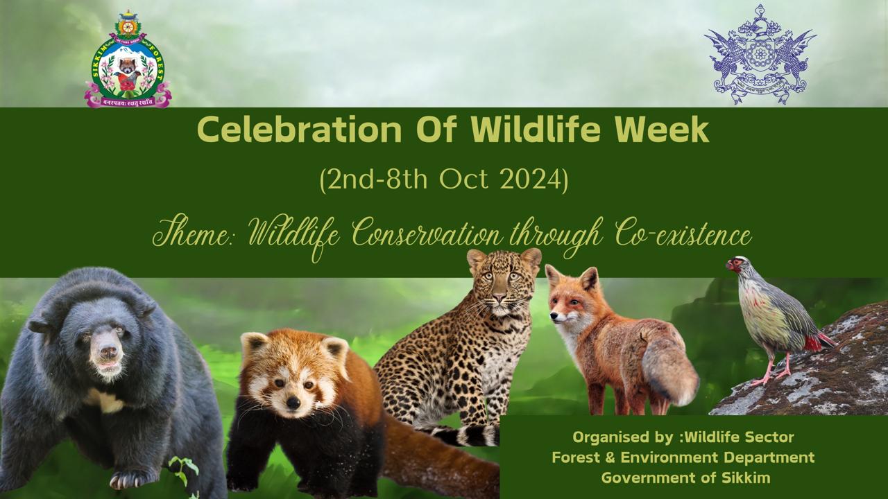 Wildlife Week October 2-8, 2024